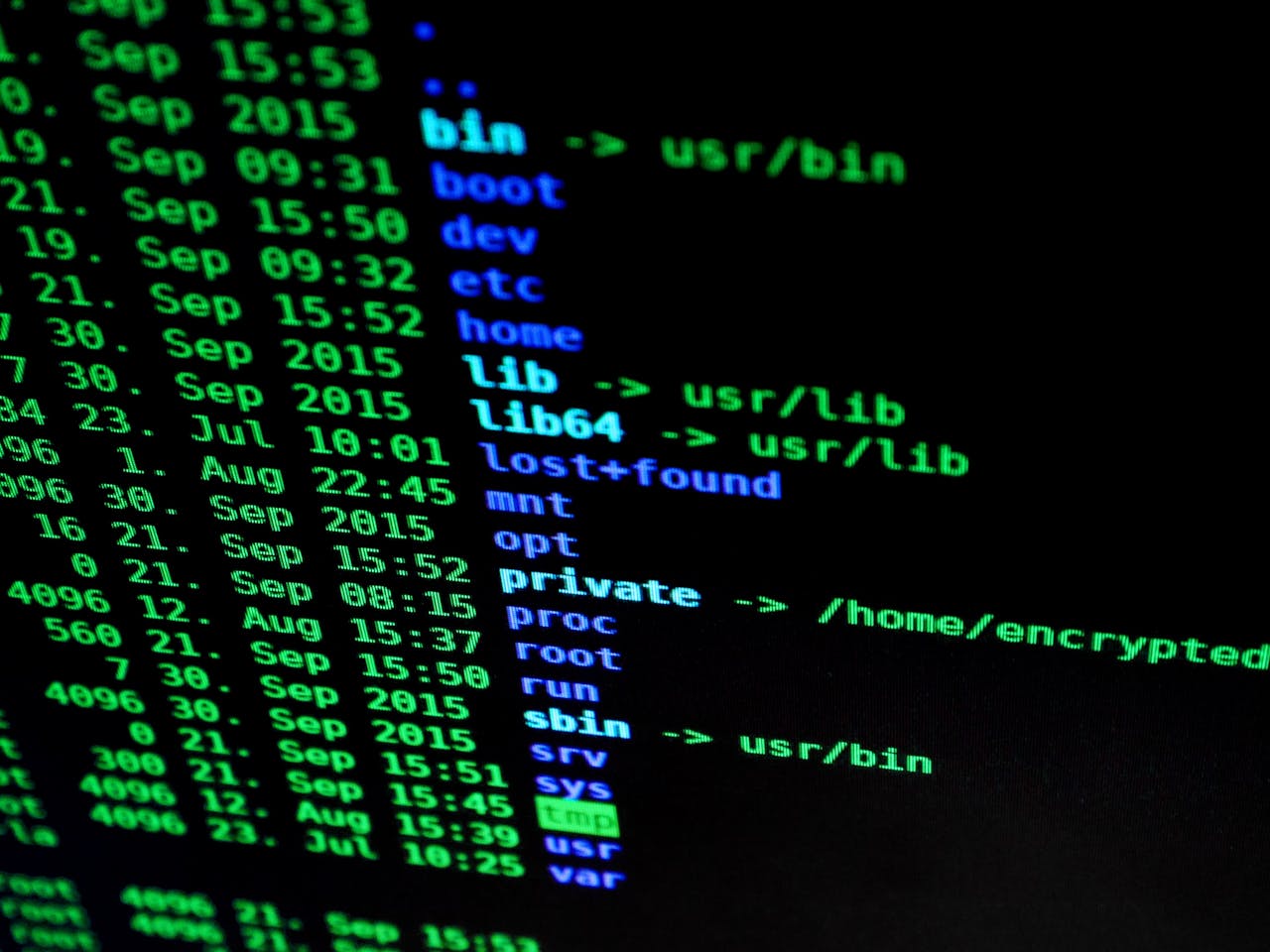 Services Close-up of colorful text on a computer screen, showcasing cybersecurity concepts.